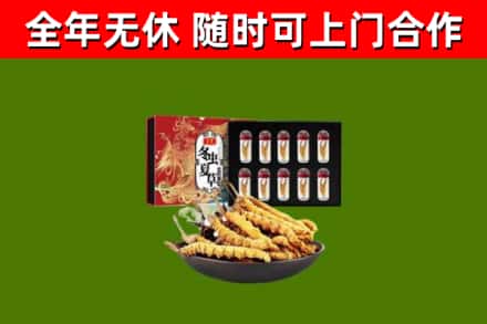 许昌烟酒回收冬虫夏草礼盒.jpg